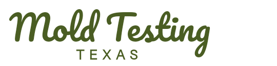Mold Testing Texas